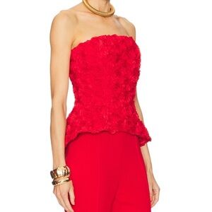 NWT Nadine Merabi Top